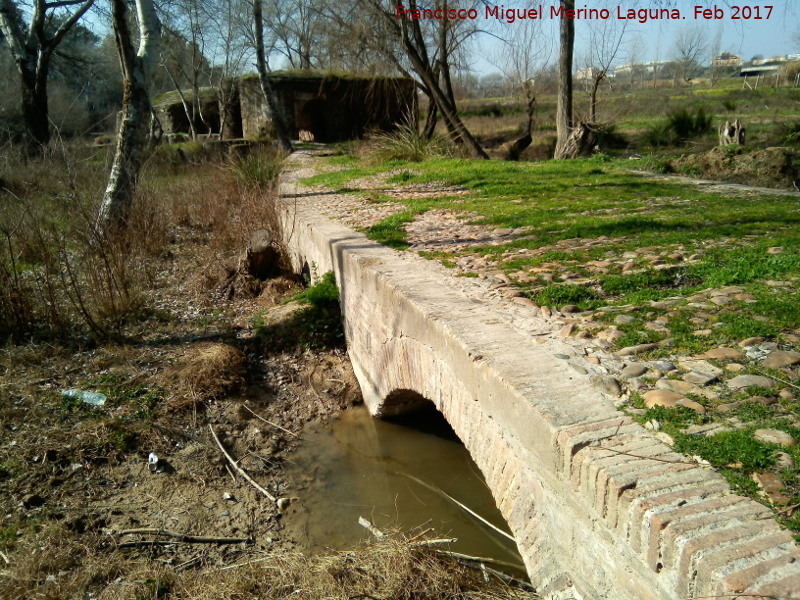 Puente del Molino de las Aceas I - Puente del Molino de las Aceas I. Ojo