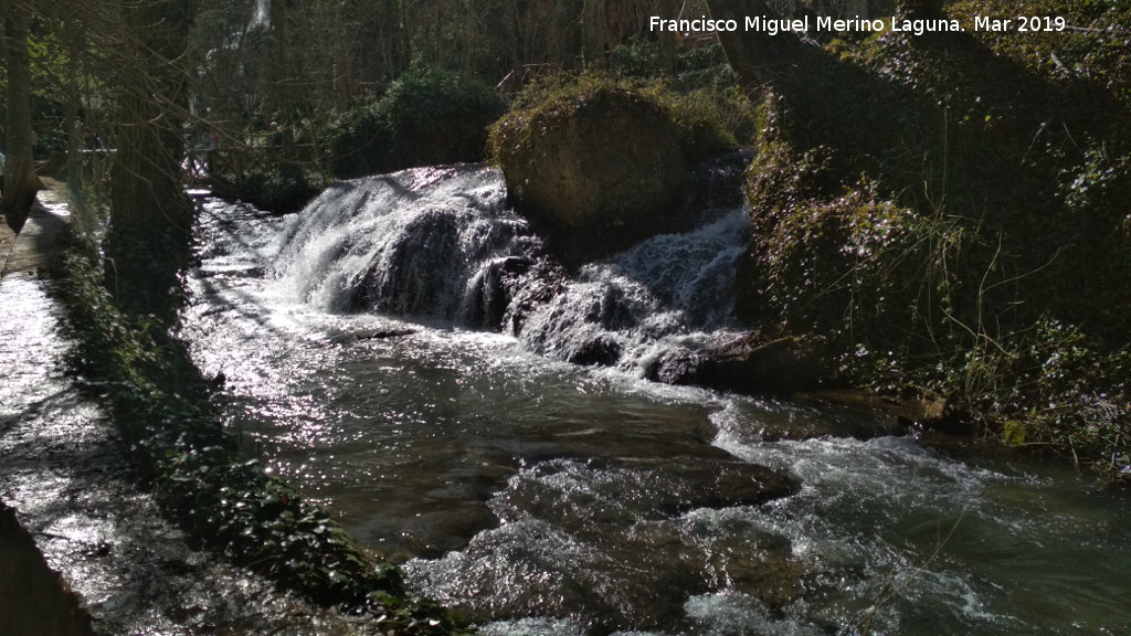 Parque Natural del Monasterio de Piedra. Bao de Diana - Parque Natural del Monasterio de Piedra. Bao de Diana. 