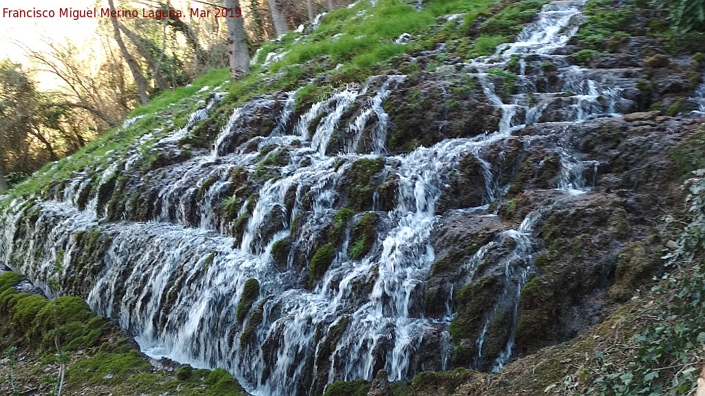 Parque Natural del Monasterio de Piedra. Cascada Chorreaderos - Parque Natural del Monasterio de Piedra. Cascada Chorreaderos. 