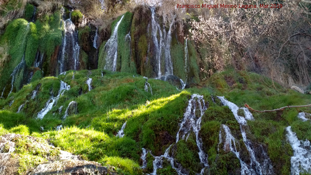 Parque Natural del Monasterio de Piedra. Cascada Chorreaderos - Parque Natural del Monasterio de Piedra. Cascada Chorreaderos. 