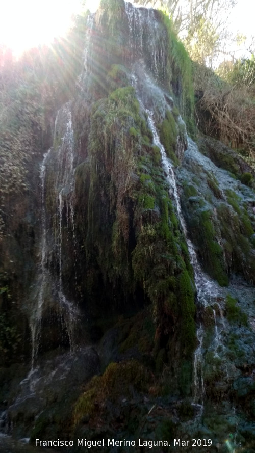 Parque Natural del Monasterio de Piedra. Cascada Chorreaderos - Parque Natural del Monasterio de Piedra. Cascada Chorreaderos. 