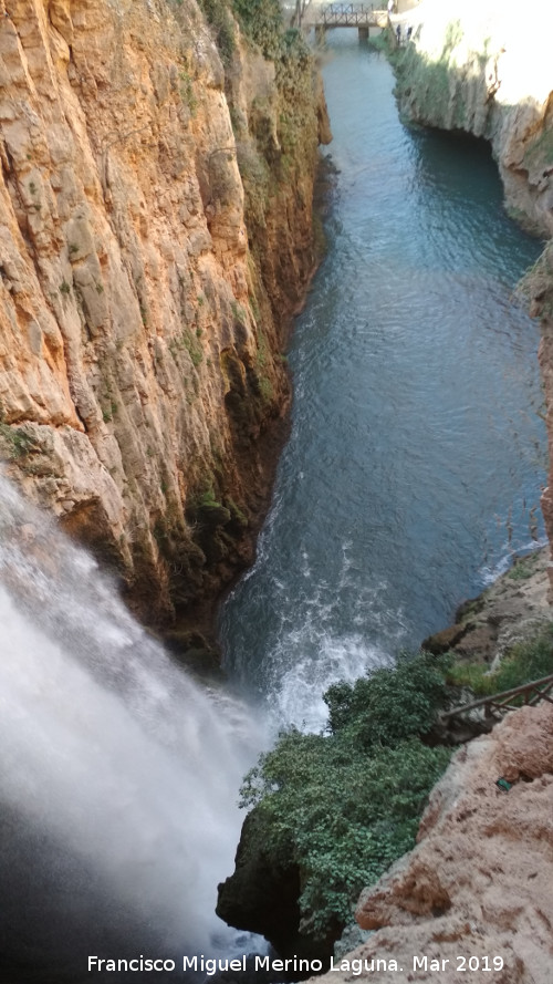 Parque Natural del Monasterio de Piedra. Cascada Cola de Caballo - Parque Natural del Monasterio de Piedra. Cascada Cola de Caballo. Ro Piedra desde lo alto de la cascada