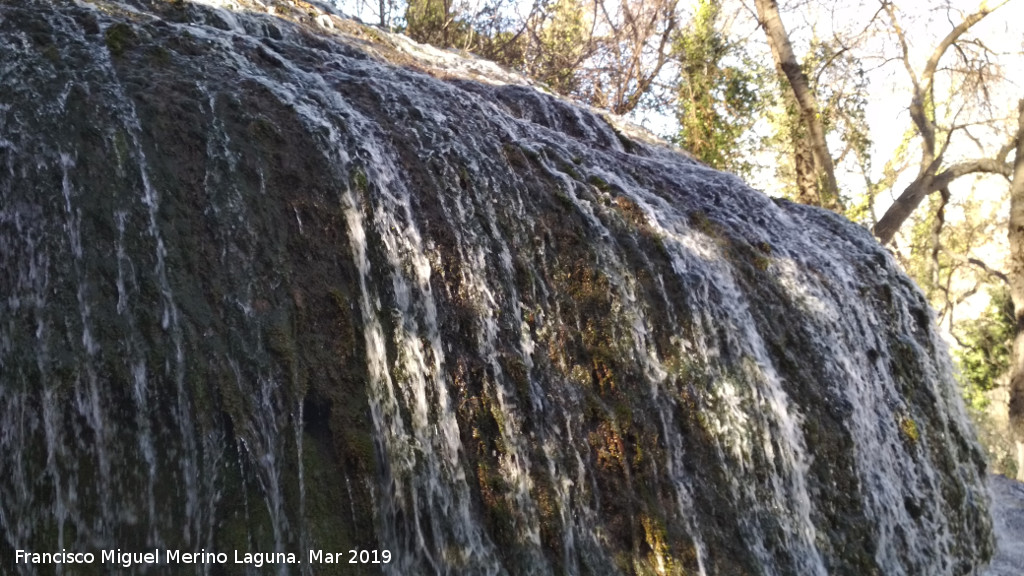 Parque Natural del Monasterio de Piedra. Cascada de los Fresnos Altos - Parque Natural del Monasterio de Piedra. Cascada de los Fresnos Altos. 