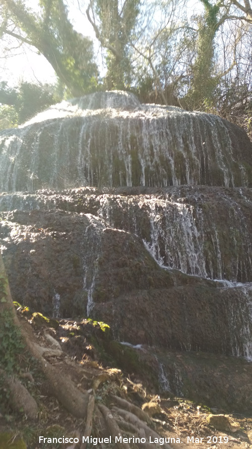 Parque Natural del Monasterio de Piedra. Cascada de los Fresnos Altos - Parque Natural del Monasterio de Piedra. Cascada de los Fresnos Altos. 