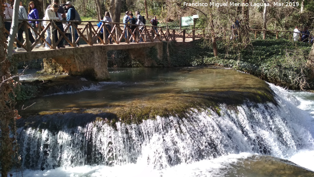 Parque Natural del Monasterio de Piedra. Los Vadillos - Parque Natural del Monasterio de Piedra. Los Vadillos. 