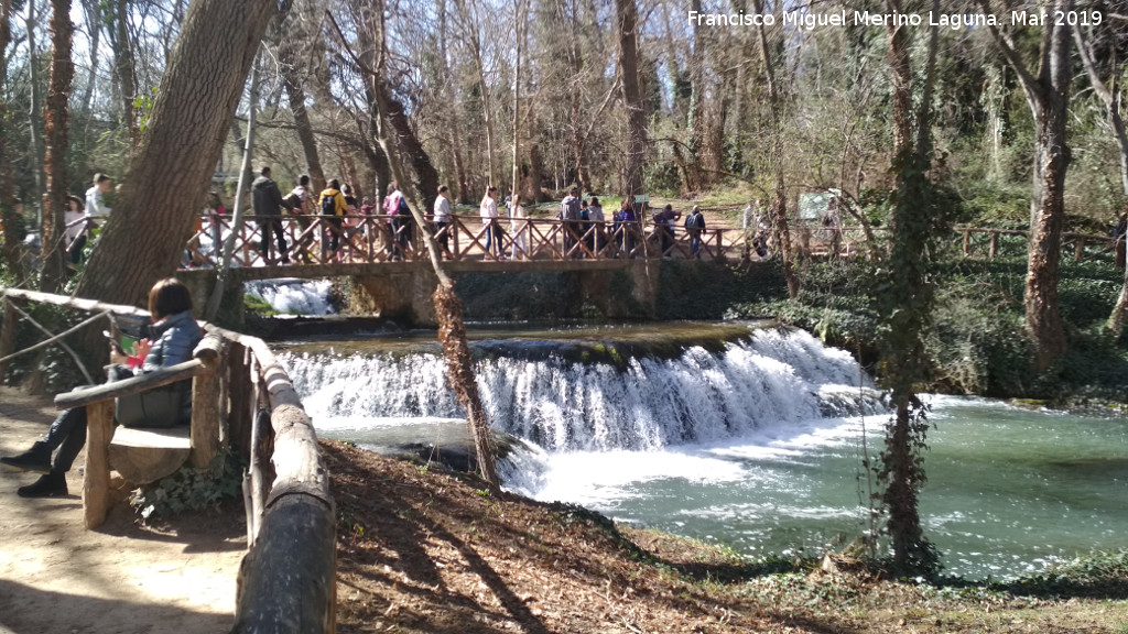 Parque Natural del Monasterio de Piedra. Los Vadillos - Parque Natural del Monasterio de Piedra. Los Vadillos. 