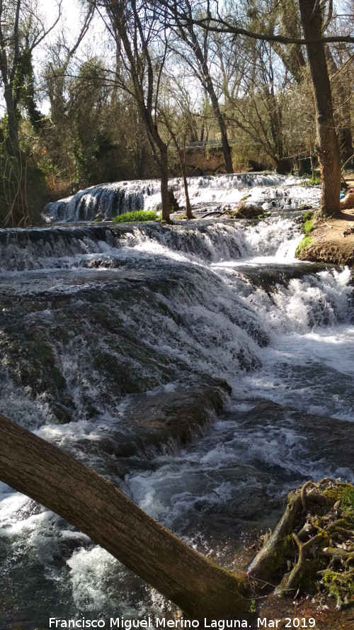 Parque Natural del Monasterio de Piedra. Los Vadillos - Parque Natural del Monasterio de Piedra. Los Vadillos. 