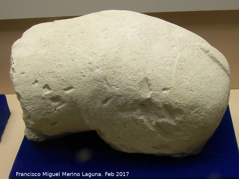 Museo Arqueolgico Ciudad de Arjona - Museo Arqueolgico Ciudad de Arjona. Resto de escultura ibera