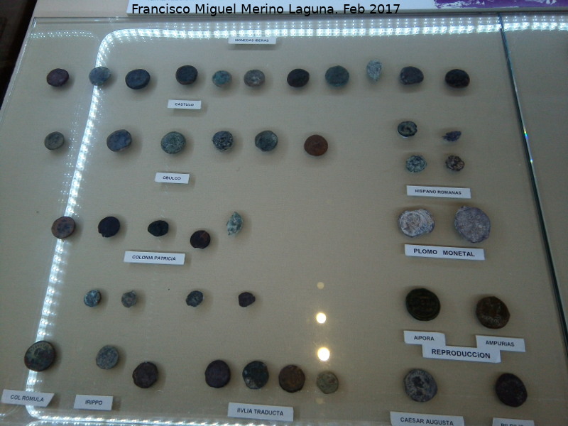 Museo Arqueolgico Ciudad de Arjona - Museo Arqueolgico Ciudad de Arjona. Monedas