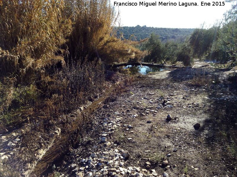 Alberca de las Emilias - Alberca de las Emilias. Acequia y alberca al fondo