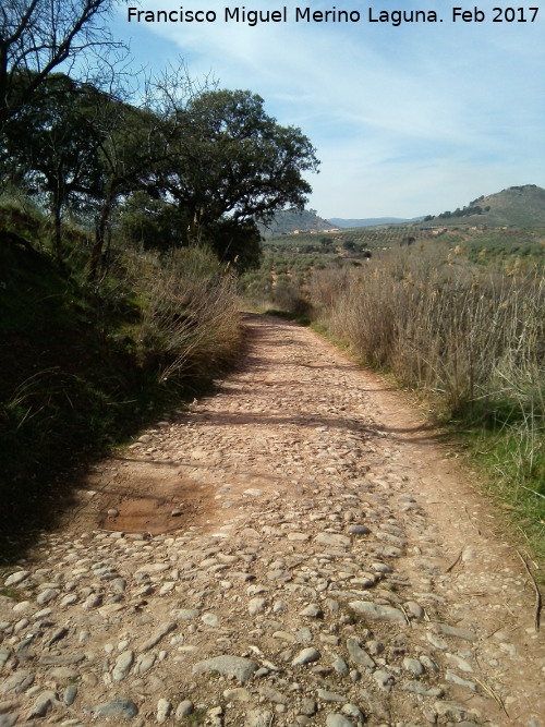 Calzada de San Blas - Calzada de San Blas. 