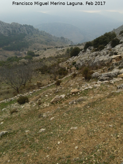 Cordel del Castellar del Cordn - Cordel del Castellar del Cordn. 