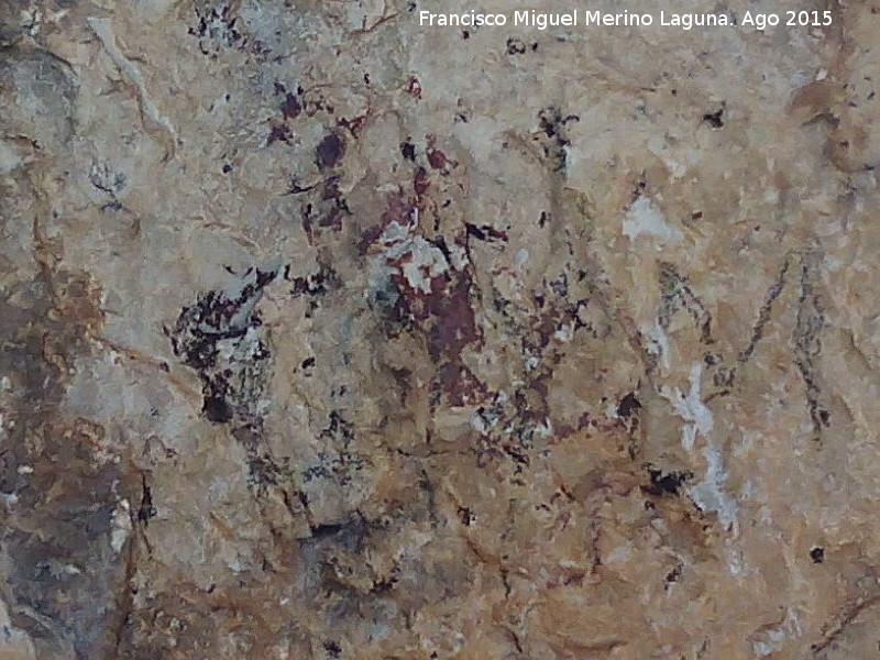 Pinturas rupestres del Abrigo del Puerto - Pinturas rupestres del Abrigo del Puerto. Manchas centrales de la parte superior