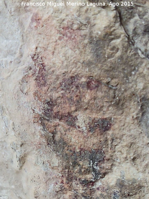 Pinturas rupestres del Abrigo del Puerto - Pinturas rupestres del Abrigo del Puerto. Pinturas rupestres inditas
