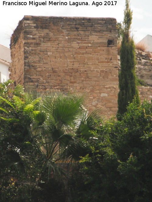 Torren de Saludeja I - Torren de Saludeja I. Desde las huertas de la Saludeja