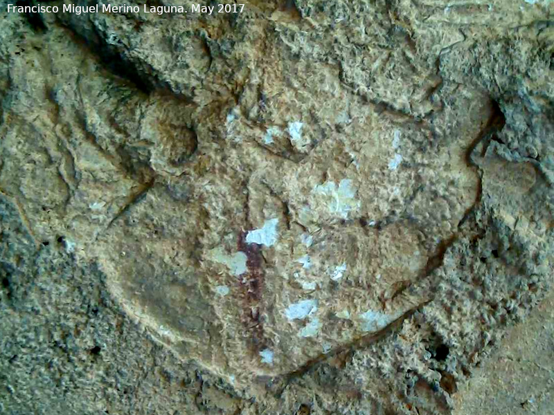 Pinturas rupestres de la Llana VI - Pinturas rupestres de la Llana VI. Barra