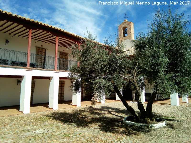 Santuario de Ntra Sra de la Encarnacin - Santuario de Ntra Sra de la Encarnacin. Olivo