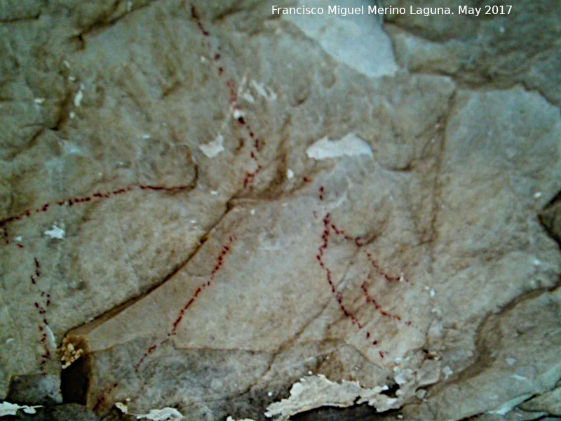 Pinturas rupestres de la Llana VII - Pinturas rupestres de la Llana VII. Pinturas de trazo fino