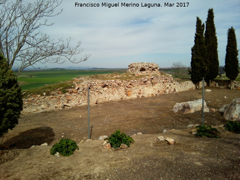 Ciudad Medieval de Alarcos - Ciudad Medieval de Alarcos. Muralla norte a intramuros