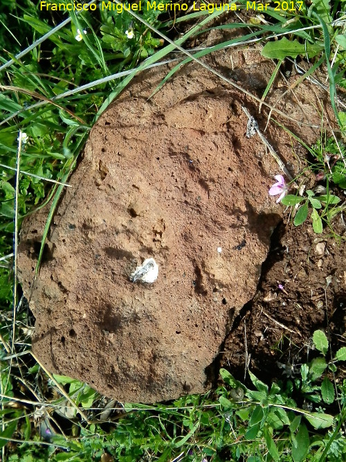 Volcn de la Posadilla - Volcn de la Posadilla. Roca volcnica