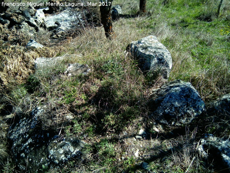 Yacimiento romano Ruicerezo Bajo - Yacimiento romano Ruicerezo Bajo. 