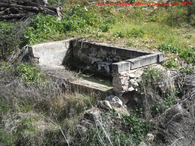 Pilar de Cortijo Encinas - Pilar de Cortijo Encinas. 