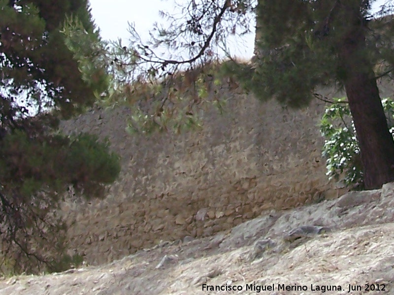 Muralla de Sabiote - Muralla de Sabiote. Muralla Norte extramuros