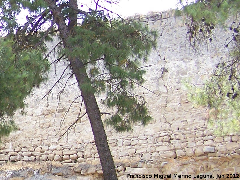 Muralla de Sabiote - Muralla de Sabiote. Muralla Norte extramuros