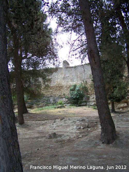 Muralla de Sabiote - Muralla de Sabiote. Muralla Norte extramuros