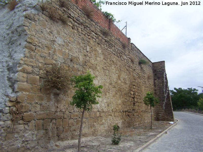 Muralla de Sabiote - Muralla de Sabiote. Muralla Sur