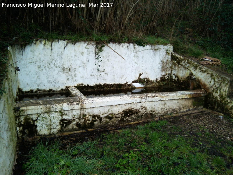 Fuente del Sotillo - Fuente del Sotillo. 