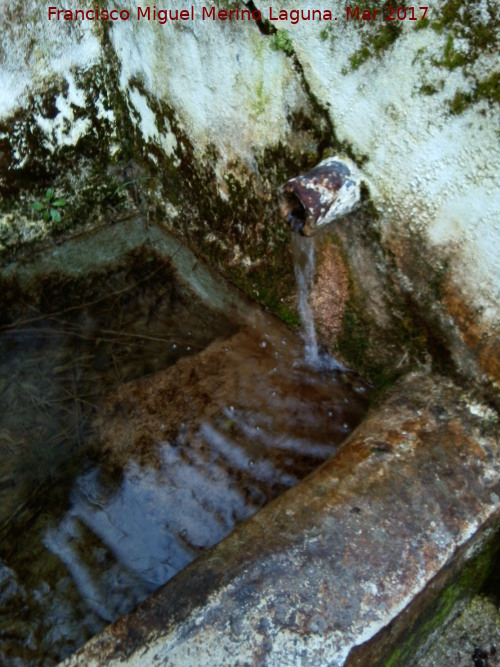 Fuente del Sotillo - Fuente del Sotillo. Cao