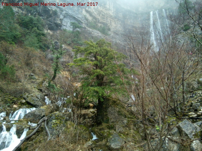 Parque Natural de los Calares del Mundo y de la Sima - Parque Natural de los Calares del Mundo y de la Sima. 