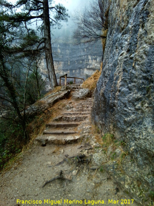 Sendero del Nacimiento - Sendero del Nacimiento. 