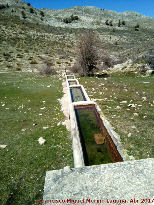 Fuente de la Morra de la Osa - Fuente de la Morra de la Osa. 