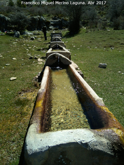 Fuente de la Morra de la Osa - Fuente de la Morra de la Osa. 