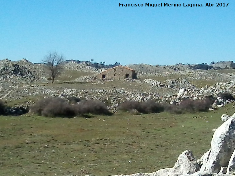 Cortijo de Cotillas - Cortijo de Cotillas. 