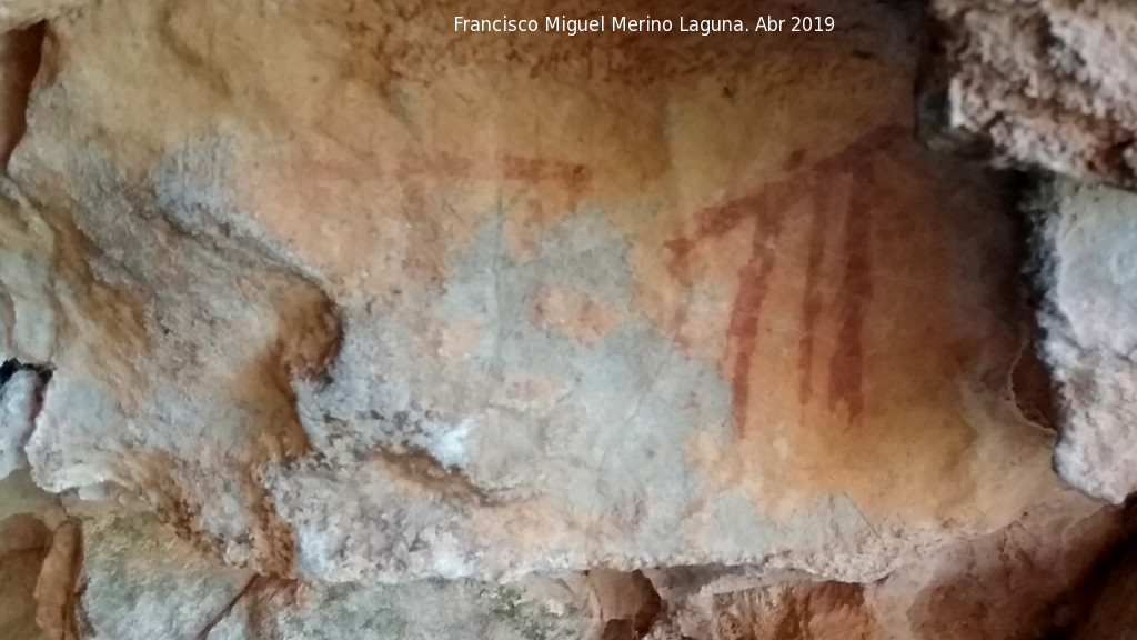 Pinturas rupestres de la Cueva de la Dehesa - Pinturas rupestres de la Cueva de la Dehesa. Pareja de pectiniformes