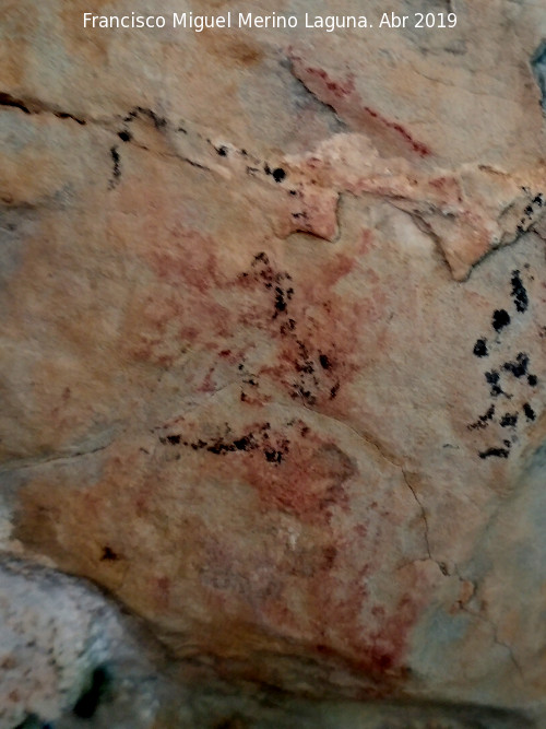 Pinturas rupestres de la Cueva de la Dehesa - Pinturas rupestres de la Cueva de la Dehesa. Resto desvado rojo sobre el que han pintado en negro en poca reciente