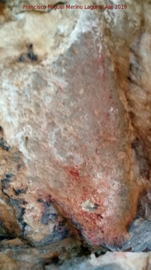 Pinturas rupestres de la Cueva de la Dehesa - Pinturas rupestres de la Cueva de la Dehesa. Restos