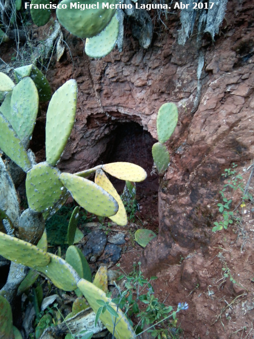 Cuevecilla del Hondillo - Cuevecilla del Hondillo. 