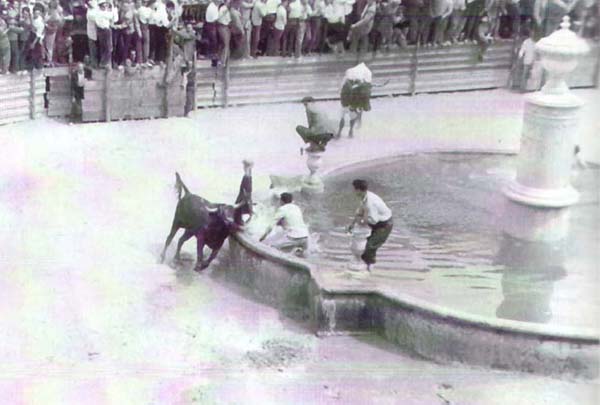 Plaza Mayor - Plaza Mayor. Foto antigua. Encierros