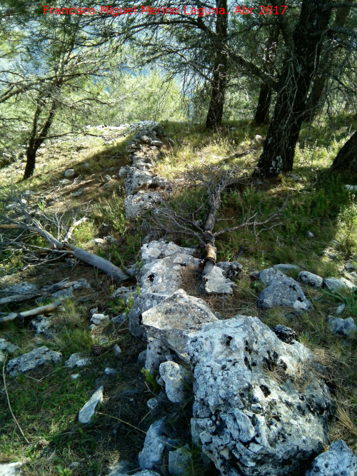 Albarradas del Cerro de la Vieja - Albarradas del Cerro de la Vieja. 