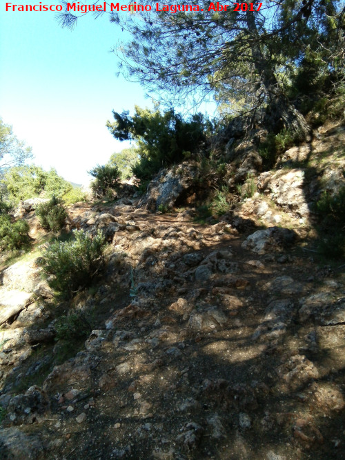 Colada del Camino de la Mancha - Colada del Camino de la Mancha. 