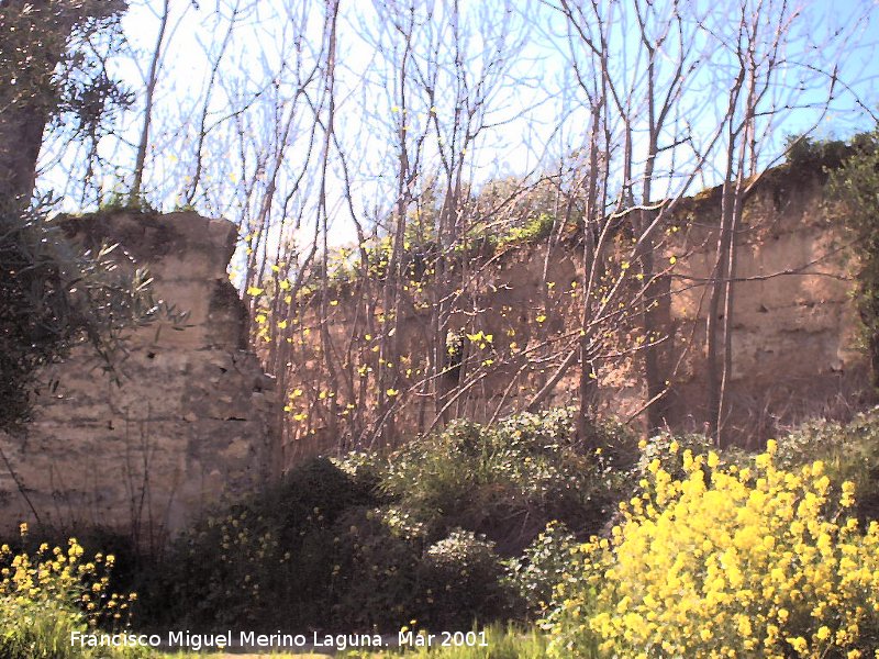 Castillo de Aldehuela - Castillo de Aldehuela. Muros de tapial. Restos del castillo