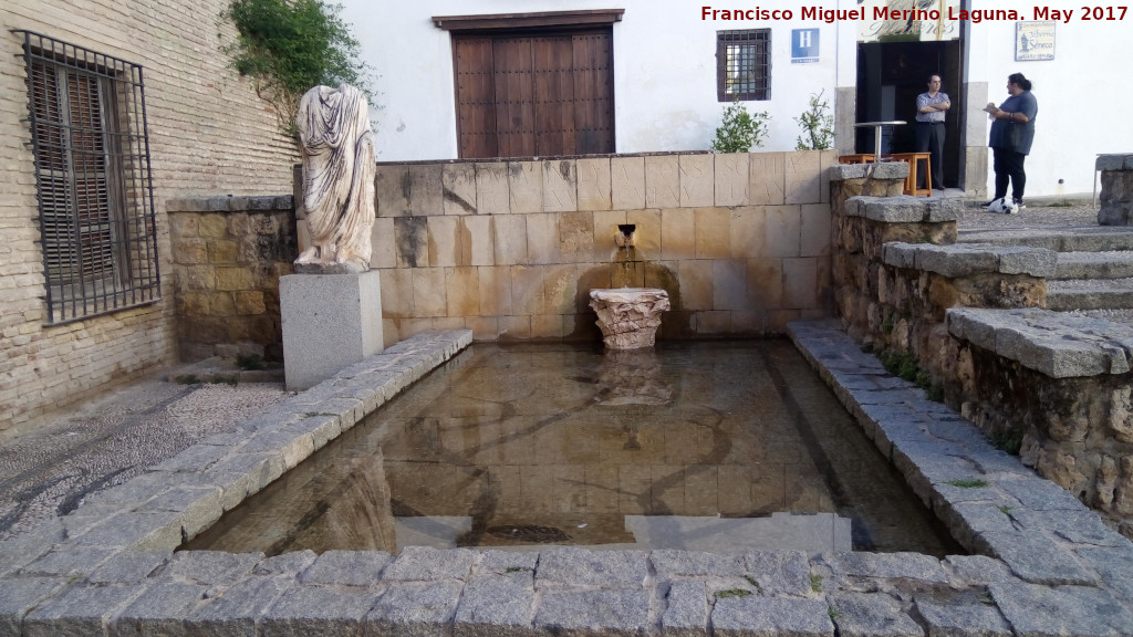 Fuente de la Plaza Sneca - Fuente de la Plaza Sneca. 