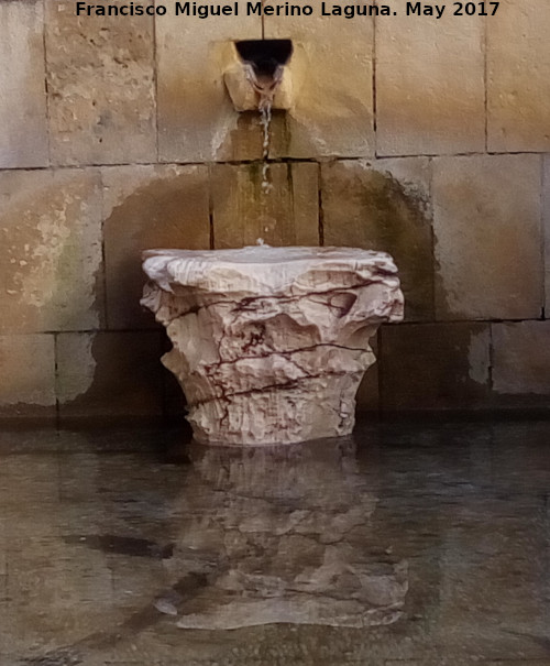 Fuente de la Plaza Sneca - Fuente de la Plaza Sneca. Cao y capitel romano