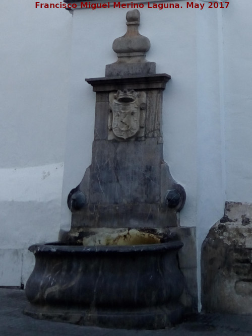 Fuente de la Calle San Fernando - Fuente de la Calle San Fernando. 