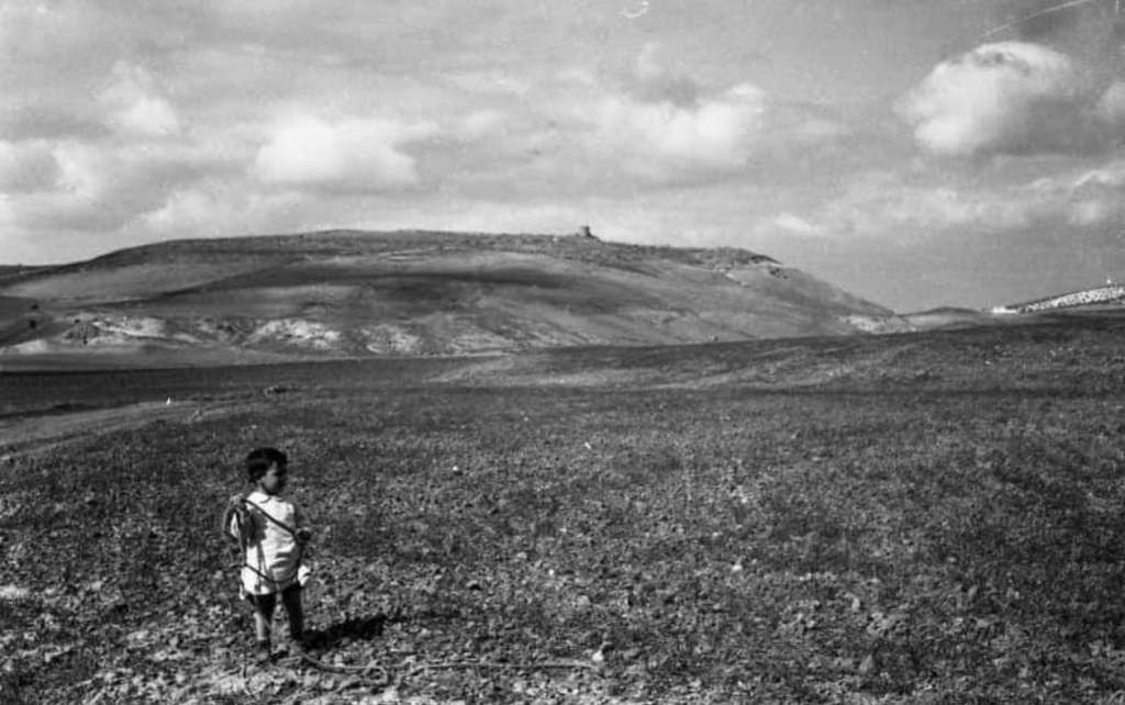 Torre Olvidada - Torre Olvidada. 1957