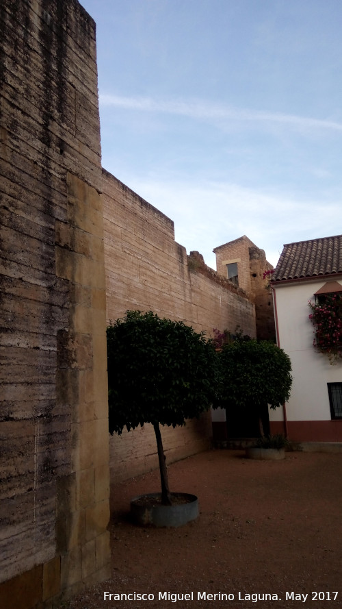 Castillo de la Judera - Castillo de la Judera. Muralla del Arco de Caballerizas Reales